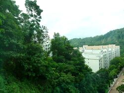 The Hillside (D21), Condominium #566457431